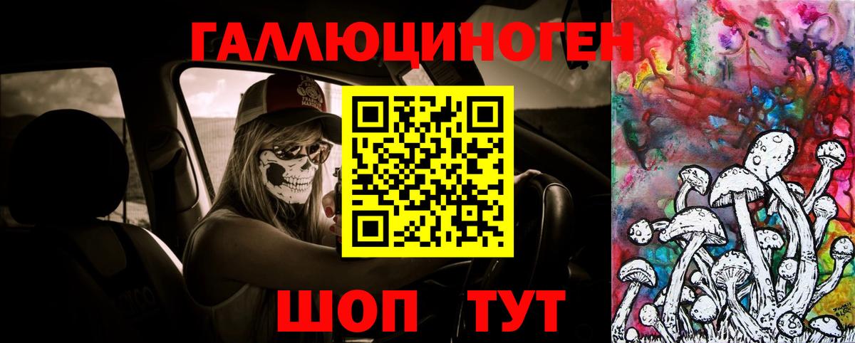 Псилоцибиновые грибы Psilocybe  Вход с VPN  Керчь 