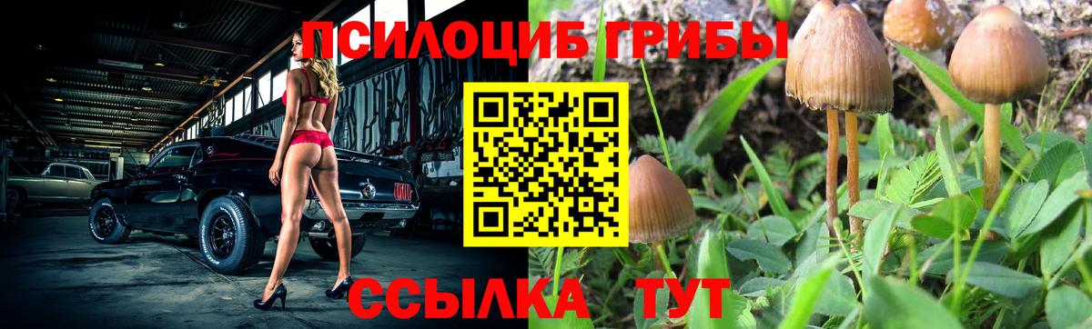 Псилоцибиновые грибы мухоморы Керчь